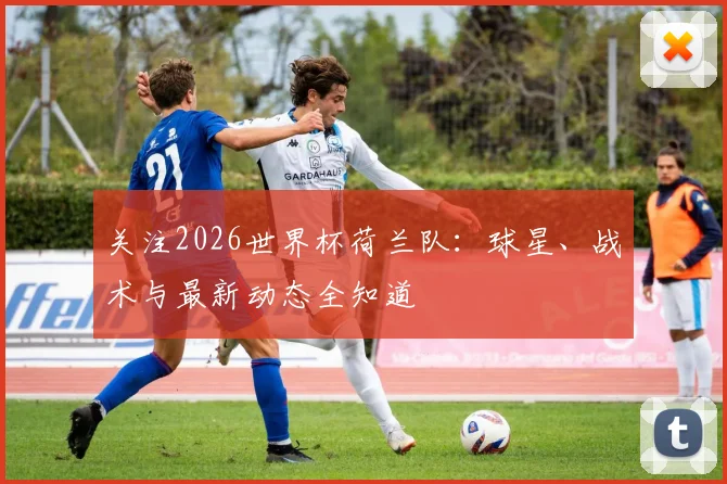 关注2026世界杯荷兰队：球星、战术与最新动态全知道